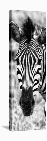 Awesome South Africa Collection Panoramic - Close-up Zebra Portrait B&W-Philippe Hugonnard-Premier Image Canvas