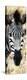 Awesome South Africa Collection Panoramic - Close-up Zebra Portrait III-Philippe Hugonnard-Premier Image Canvas