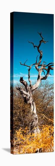 Awesome South Africa Collection Panoramic - Dead Tree II-Philippe Hugonnard-Premier Image Canvas