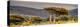 Awesome South Africa Collection Panoramic - Lone Acacia Tree II-Philippe Hugonnard-Premier Image Canvas