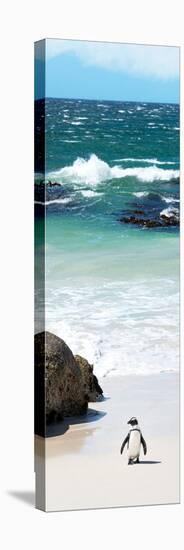 Awesome South Africa Collection Panoramic - Penguins on the Beach V-Philippe Hugonnard-Premier Image Canvas