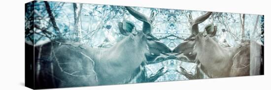 Awesome South Africa Collection Panoramic - Reflection of Greater Kudu - Aquamarine & Grey-Philippe Hugonnard-Premier Image Canvas