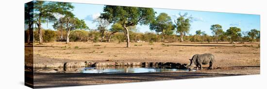 Awesome South Africa Collection Panoramic - Savannah Landscape with Rhino-Philippe Hugonnard-Premier Image Canvas