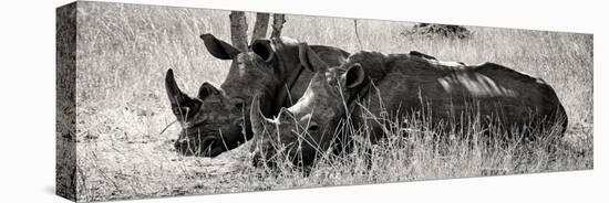 Awesome South Africa Collection Panoramic - Two White Rhinos II-Philippe Hugonnard-Premier Image Canvas