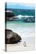 Awesome South Africa Collection - Penguin at Boulders Beach-Philippe Hugonnard-Premier Image Canvas