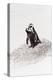 Awesome South Africa Collection - Penguin Lovers IV-Philippe Hugonnard-Premier Image Canvas