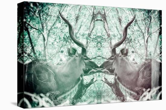 Awesome South Africa Collection - Reflection of Greater Kudu - Coral Green & Dimgray-Philippe Hugonnard-Premier Image Canvas