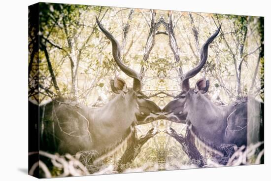 Awesome South Africa Collection - Reflection of Greater Kudu - Honey & Mauve-Philippe Hugonnard-Premier Image Canvas