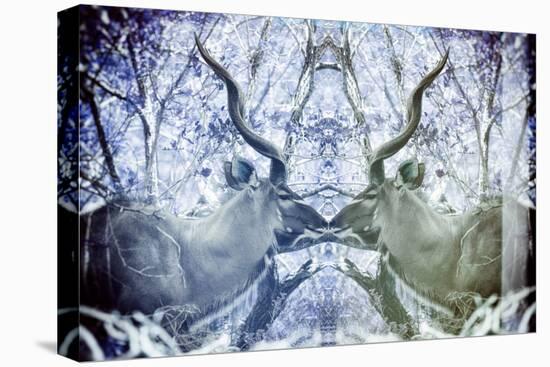 Awesome South Africa Collection - Reflection of Greater Kudu - Powder Blue & Grey-Philippe Hugonnard-Premier Image Canvas