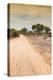 Awesome South Africa Collection - Road in the African Savannah I-Philippe Hugonnard-Premier Image Canvas