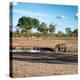 Awesome South Africa Collection Square - African Landscape with Black Rhino-Philippe Hugonnard-Premier Image Canvas