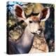 Awesome South Africa Collection Square - Impala Portrait II-Philippe Hugonnard-Premier Image Canvas