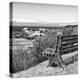 Awesome South Africa Collection Square - Lonely Bench B&W-Philippe Hugonnard-Premier Image Canvas