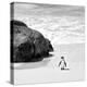 Awesome South Africa Collection Square - Penguin Alone on the Beach B&W-Philippe Hugonnard-Premier Image Canvas