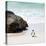 Awesome South Africa Collection Square - Penguin Alone on the Beach-Philippe Hugonnard-Premier Image Canvas