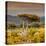 Awesome South Africa Collection Square - Umbrella Acacia Tree III-Philippe Hugonnard-Premier Image Canvas