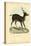 Axis Deer, 1863-79-Raimundo Petraroja-Premier Image Canvas