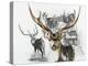 Axis Deer-Barbara Keith-Premier Image Canvas