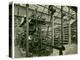 Axminster Jacquard Loom, Carpet Factory, 1923-English Photographer-Premier Image Canvas