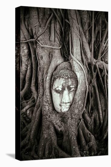 Ayutthaya, Thailand. Sandstone head of Buddha, at Wat Phra Mahathat, Ayutthaya Historical Park, nea-Miva Stock-Premier Image Canvas