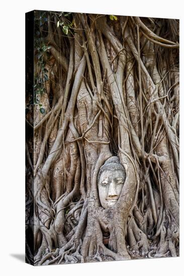 Ayutthaya, Thailand. Sandstone head of Buddha, at Wat Phra Mahathat, Ayutthaya Historical Park, nea-Miva Stock-Premier Image Canvas