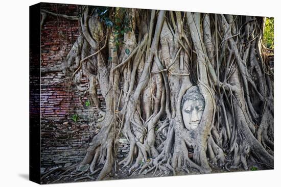 Ayutthaya, Thailand. Sandstone head of Buddha, at Wat Phra Mahathat, Ayutthaya Historical Park, nea-Miva Stock-Premier Image Canvas