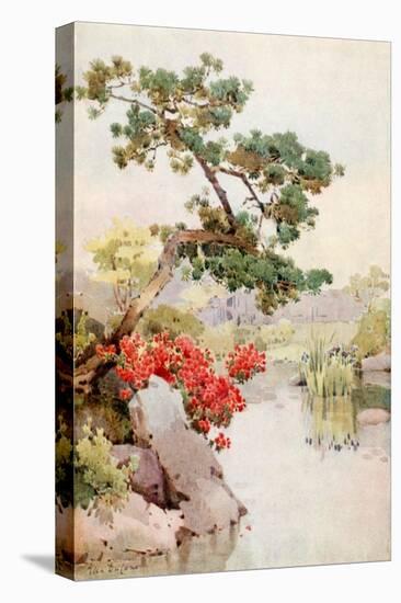 Azalea and Pine-Tree-Ella Du Cane-Premier Image Canvas