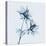Azalea in Blue-Albert Koetsier-Stretched Canvas