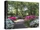 Azalea Way, Botanical Gardens, Bronx, NY-Lauree Feldman-Premier Image Canvas