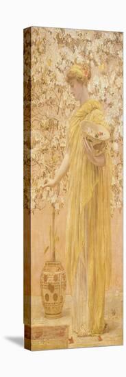 Azaleas, 1868-Albert Joseph Moore-Premier Image Canvas