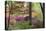 Azaleas and Japanese Maples at Azalea Path Arboretum and Botanical Gardens, Hazleton, Indiana-Richard and Susan Day-Premier Image Canvas