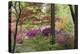 Azaleas and Japanese Maples at Azalea Path Arboretum and Botanical Gardens, Hazleton, Indiana-Richard and Susan Day-Premier Image Canvas