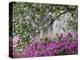 Azaleas and Live Oak Trees Draped in Spanish Moss, Middleton Place Plantation, South Carolina, USA-Adam Jones-Premier Image Canvas