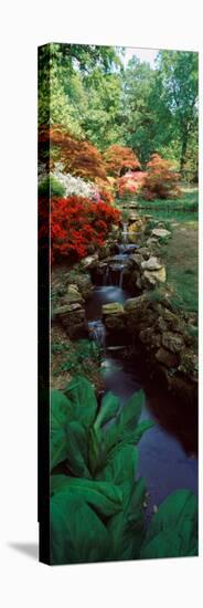 Azaleas in a Garden, Exbury Gardens, New Forest, Hampshire, England-null-Premier Image Canvas