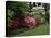 Azaleas, New Jersey State Botanical Garden, New Jersey, USA-null-Premier Image Canvas