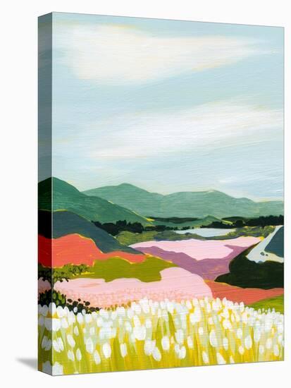 Azucar Valley I-Grace Popp-Stretched Canvas