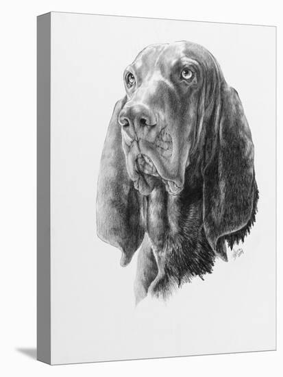 B and T Coonhound-Barbara Keith-Premier Image Canvas