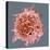 B-cell, SEM-Steve Gschmeissner-Premier Image Canvas