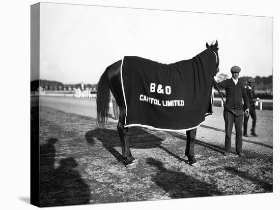 B&O Capitol Limited Horse-null-Premier Image Canvas