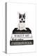 B&W Frenchie Bookstack-Amanda Greenwood-Stretched Canvas