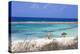 Baby Beach, San Nicolas, Aruba, Lesser Antilles, Netherlands Antilles, Caribbean, Central America-Jane Sweeney-Premier Image Canvas