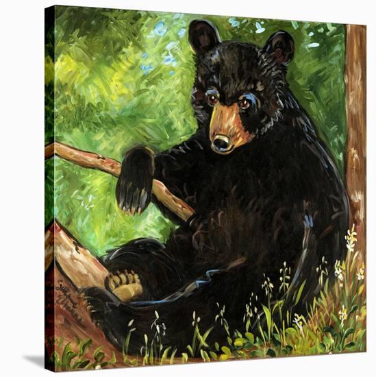 Baby Bear-Suzanne Etienne-Stretched Canvas