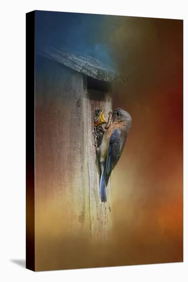Baby Bluebird Breakfast-Jai Johnson-Premier Image Canvas