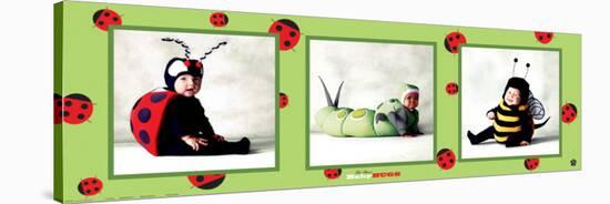 Baby Bugs-Tom Arma-Stretched Canvas