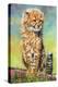 Baby Cheetah awakens!-David Stribbling-Stretched Canvas