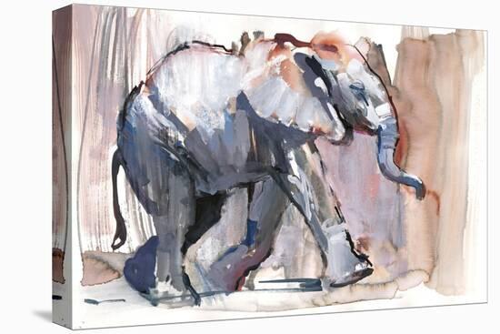 Baby Elephant, 2012-Mark Adlington-Premier Image Canvas