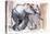 Baby Elephant, 2012-Mark Adlington-Premier Image Canvas