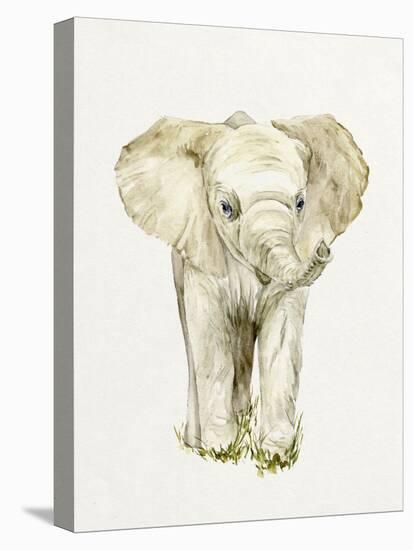 Baby Elephant II-Melissa Wang-Stretched Canvas