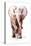 Baby Elephant Loisaba 2-Mark Adlington-Premier Image Canvas