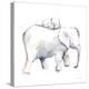 Baby Elephant Love III-Aimee Del Valle-Stretched Canvas